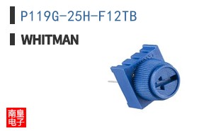 P119G-25H-F12TB ͼƬ